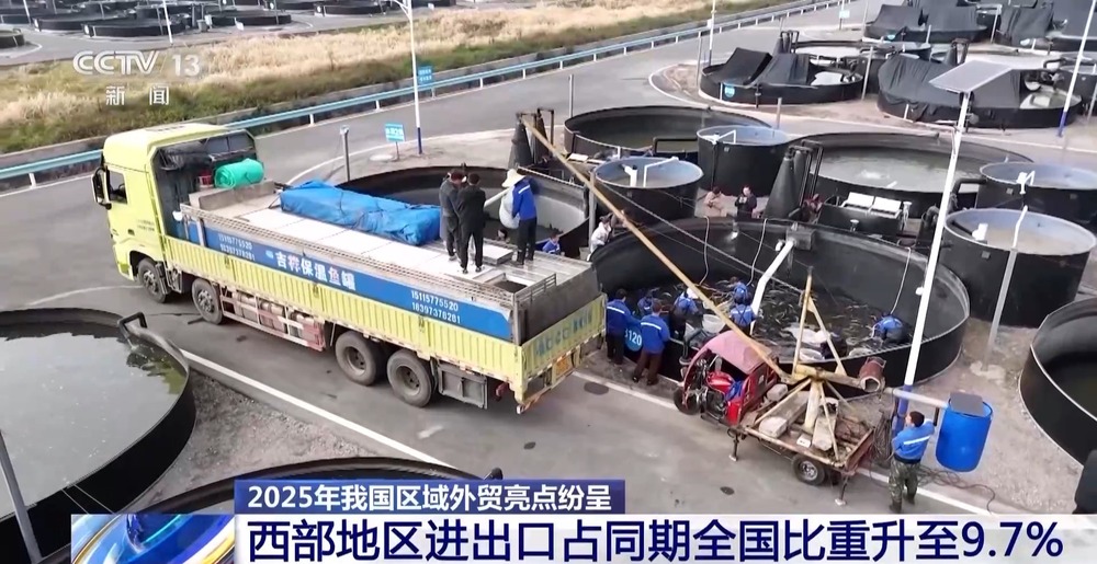 “压舱石”更稳固2025年我国区域外贸亮点纷呈(图7)