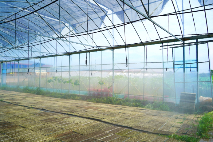 安博体育：衡阳市蒸湘区：指尖种田数据生金看智慧农业如何“耕”出未来(图1)