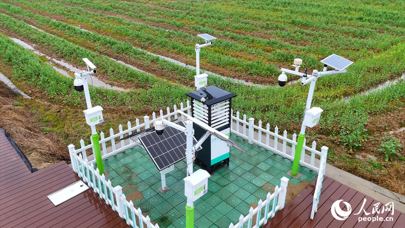 安博体育:新春走基层丨江西南昌:“智慧”农场备春耕(图3)