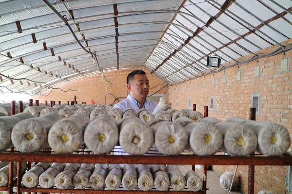 全国政协委员张志军：做强农产品加工引擎夯实和美乡村产业根基(图2)