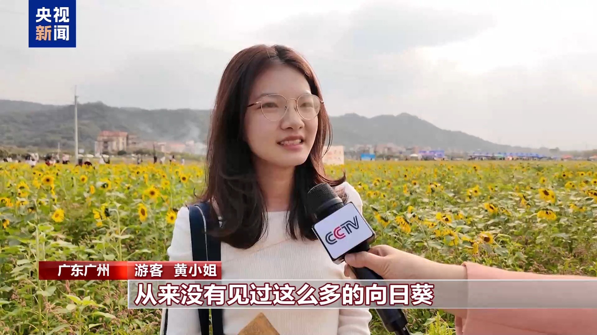 从赏花到增收花海变“产值”解锁春日浪漫(图1)