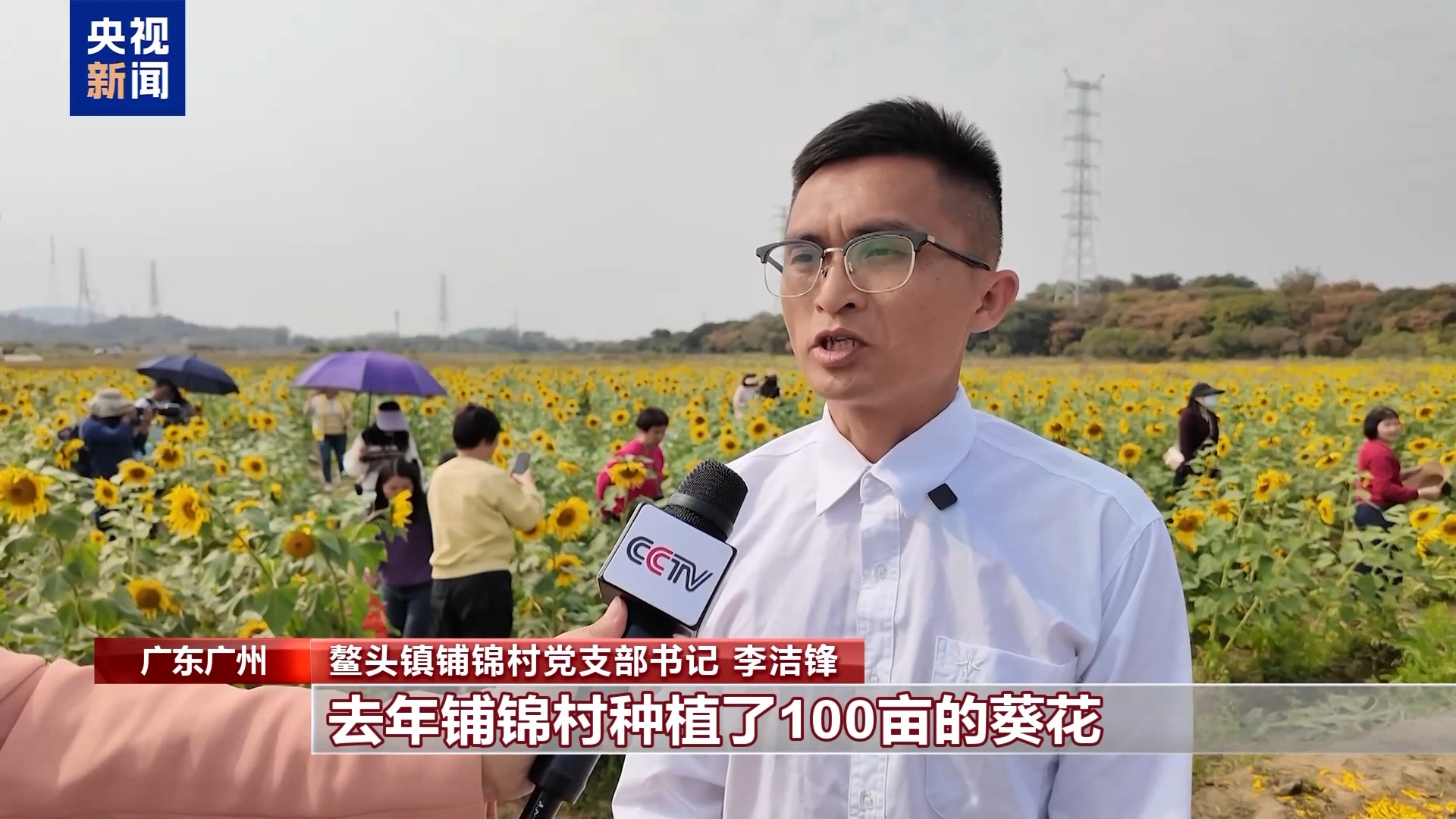 从赏花到增收花海变“产值”解锁春日浪漫(图2)