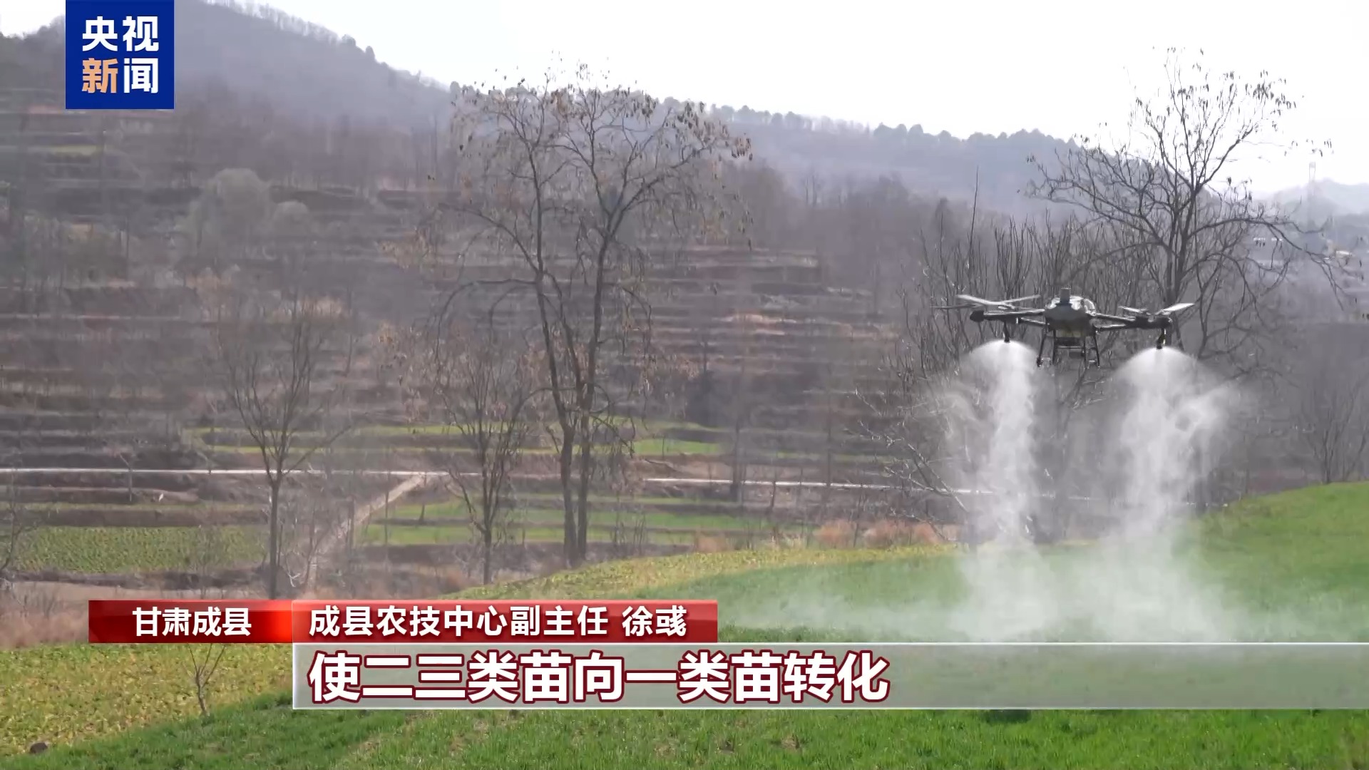 从赏花到增收花海变“产值”解锁春日浪漫(图6)