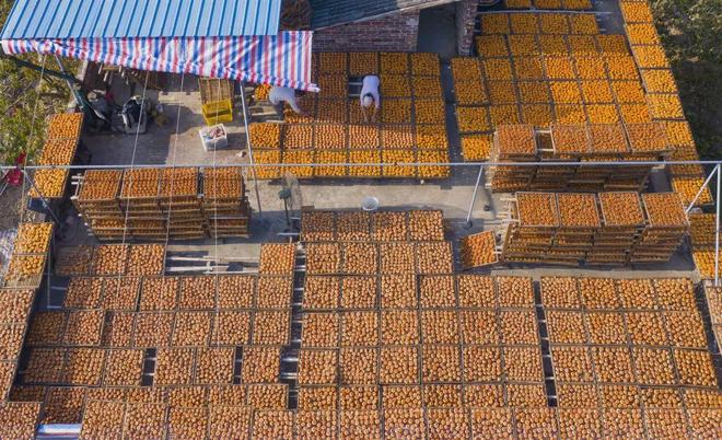 安博体育网站：韩俊部长答记者问：学会给农产品“梳妆打扮”(图1)