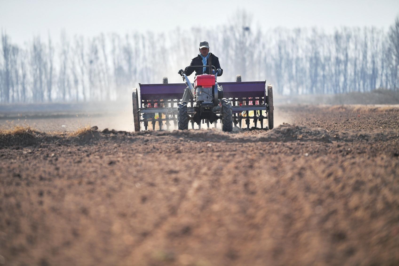 银川现代都市农业——“接二连三”智耘新丰景(图1)