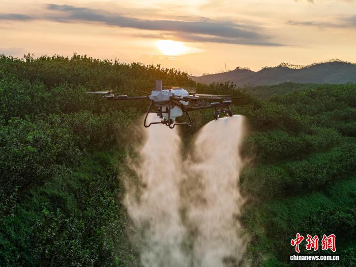 科技为农业“添翼”浙江供销系统“智”援春耕生产(图1)