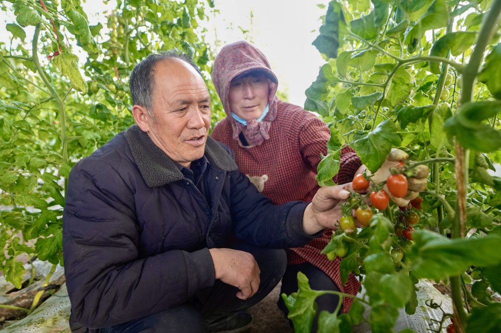 新华全媒+｜再越六盘山——“三本账”看西海固之变(图1)