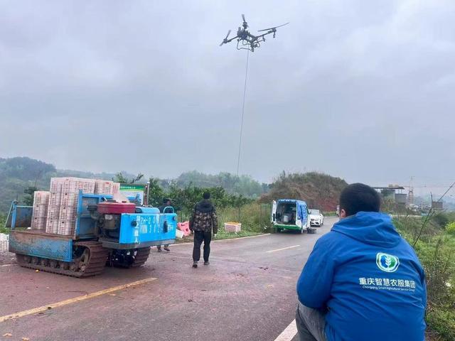 安博体育：低空经济“渝”跃新程丨无人机“飞”进巴渝田地间激活农业新质生产力(图3)