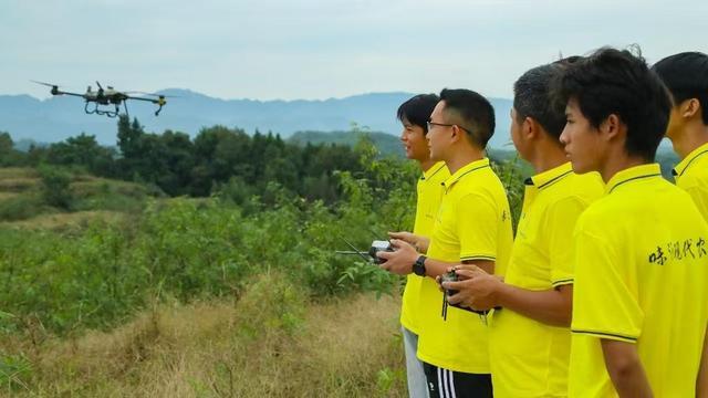 安博体育：低空经济“渝”跃新程丨无人机“飞”进巴渝田地间激活农业新质生产力(图6)