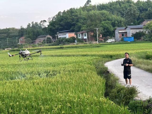 安博体育：低空经济“渝”跃新程丨无人机“飞”进巴渝田地间激活农业新质生产力(图5)