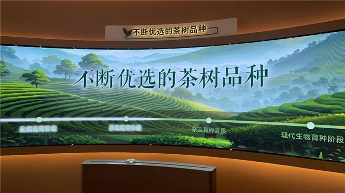 中国移动安徽公司:5G深耕皖南沃土赋能特色农业高质量发展(图2)