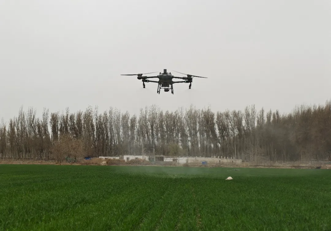 智慧春耕显成效科技赋能夏粮丰收基础(图1)