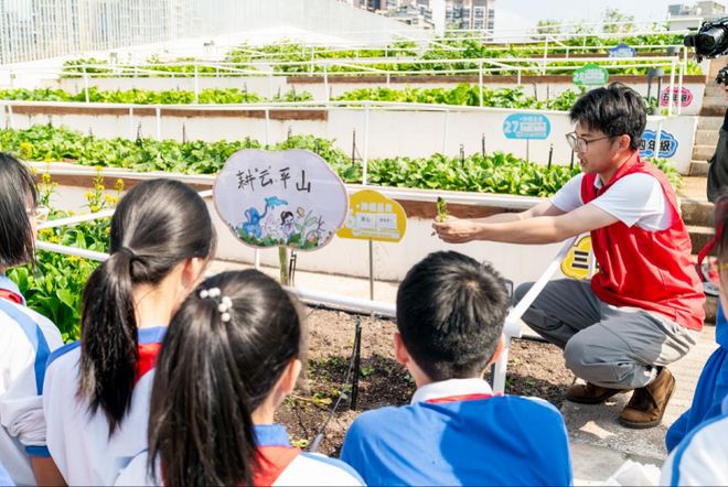 千㎡天台变“无界农场”深圳南山学子屋顶实现“种菜自由”(图1)