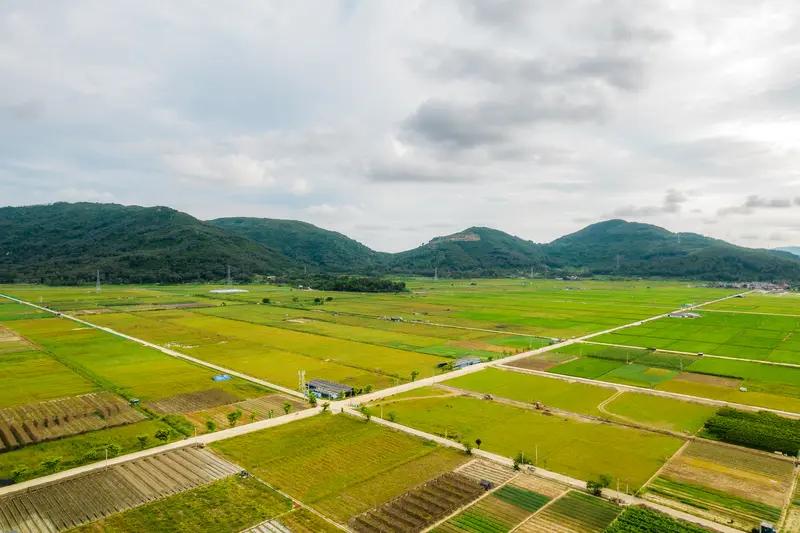 安博体育网站：未来十年农业发展趋势你知道多少(图2)