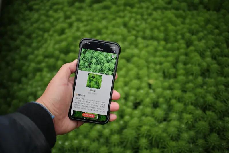 安博体育网站：未来十年农业发展趋势你知道多少(图4)