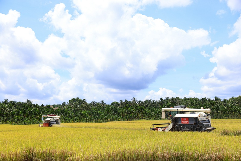 海口琼山福稻：科技赋能智慧农业“一粒米”铺就振兴路(图1)