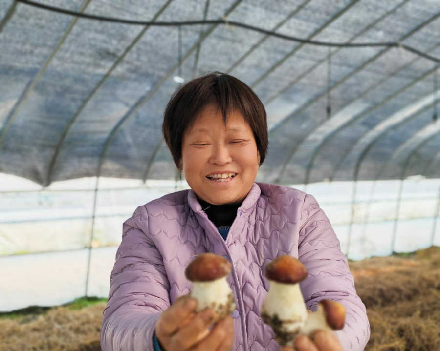 安博体育：聚焦高质量发展｜看这座皖北小城的“赶考”之路(图2)