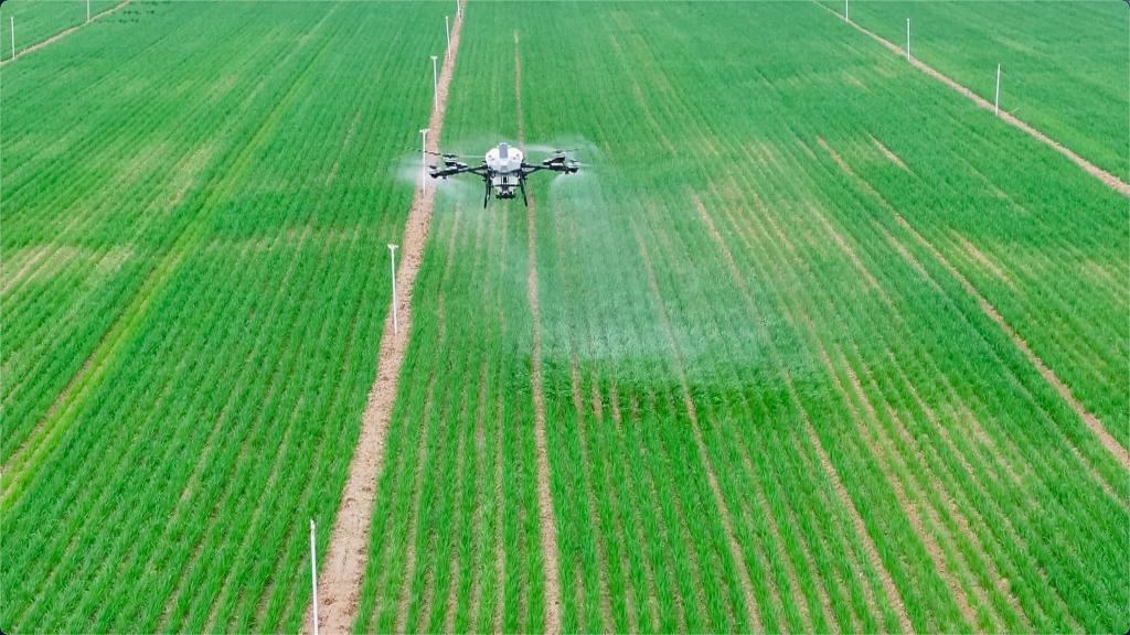 安博体育网站:人工智能“开处方”智慧农机进麦田(图2)