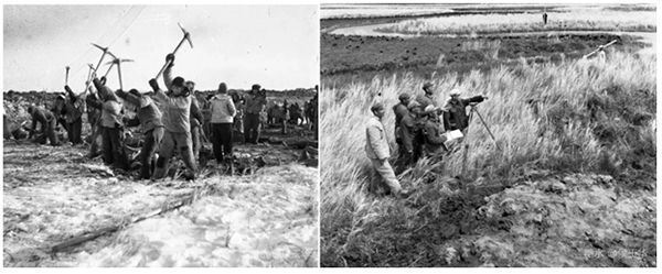 非常差异大米品牌策划公司分享北大荒五常米如何得出品牌定位的(图6)