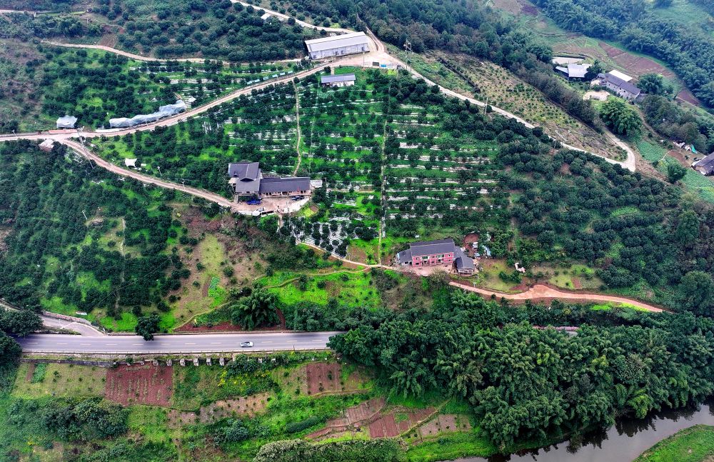 最生动的是田野上这一幅幅“科技春耕”图!(图1)