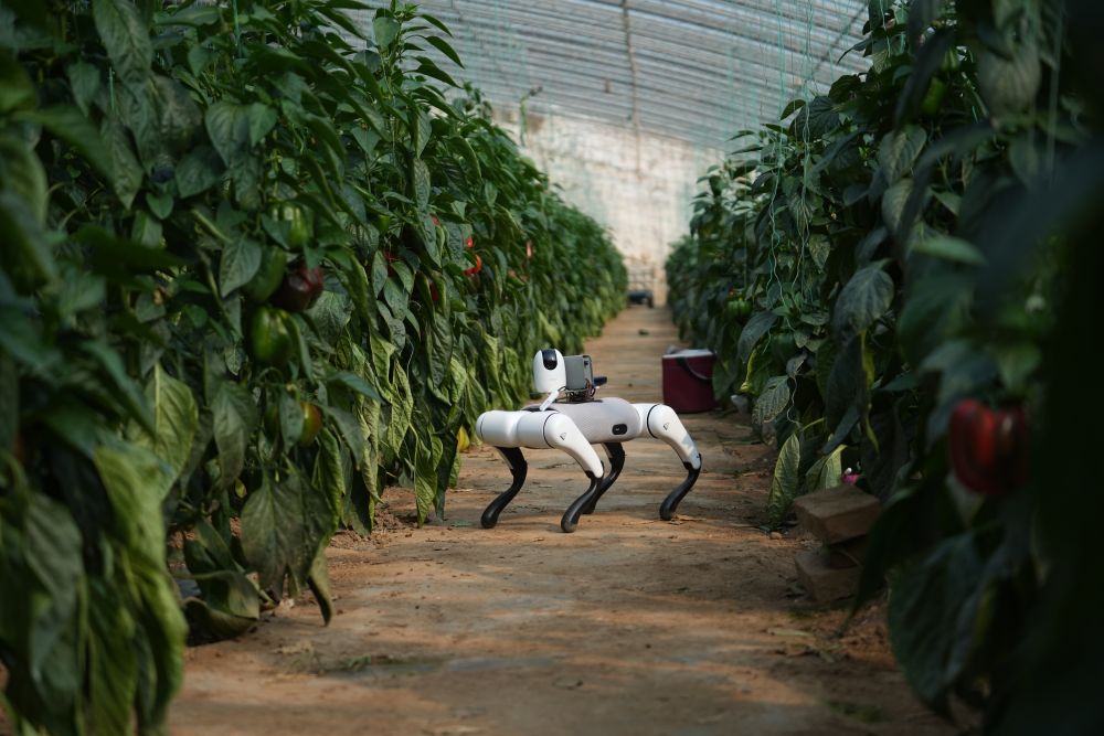 最生动的是田野上这一幅幅“科技春耕”图!(图3)