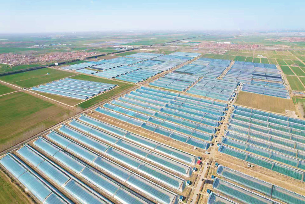 最生动的是田野上这一幅幅“科技春耕”图!(图4)