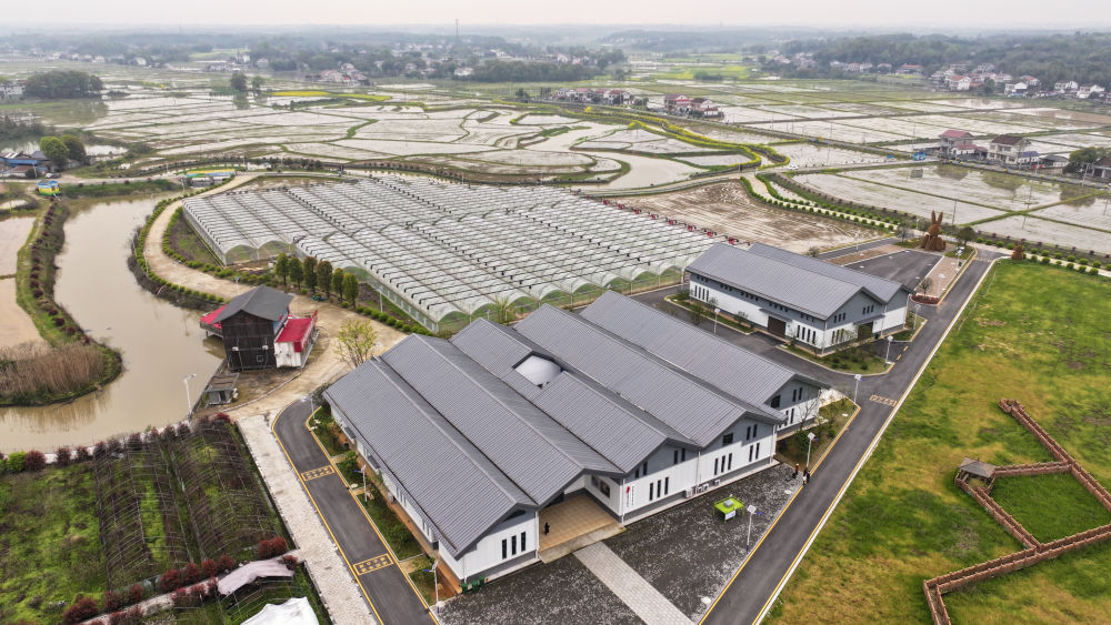 最生动的是田野上这一幅幅“科技春耕”图!(图6)