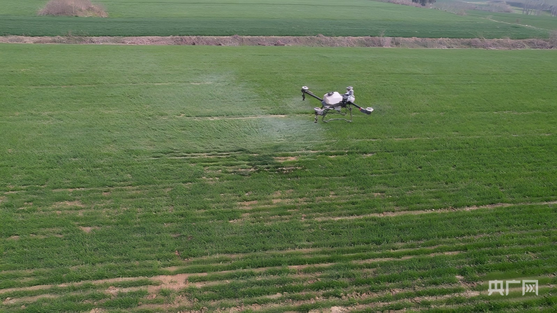 安博体育:万象“耕”新看2026年田野里的“新”变化(图1)