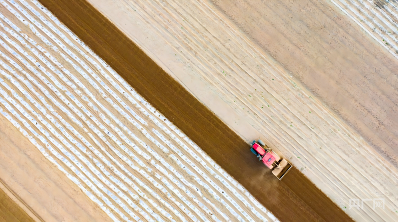 安博体育:万象“耕”新看2026年田野里的“新”变化(图2)