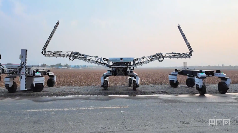 安博体育:万象“耕”新看2026年田野里的“新”变化(图3)