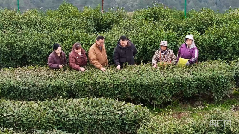 安博体育:万象“耕”新看2026年田野里的“新”变化(图5)