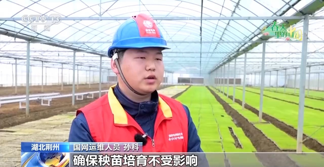 清明抢抓农时科技赋能春耕(图2)