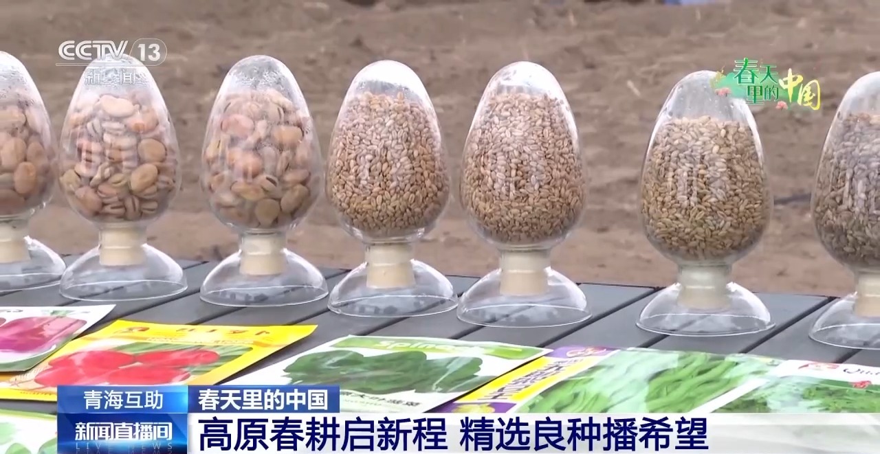 清明抢抓农时科技赋能春耕(图5)