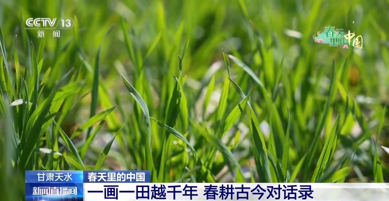 清明抢抓农时科技赋能春耕(图9)