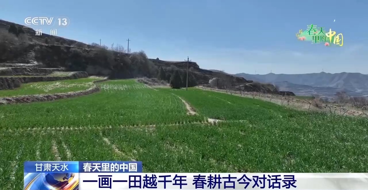 清明抢抓农时科技赋能春耕(图11)