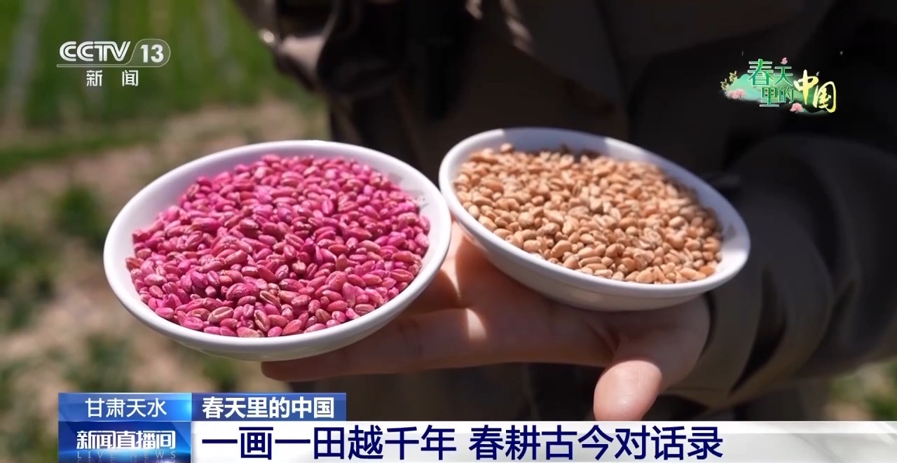 清明抢抓农时科技赋能春耕(图12)