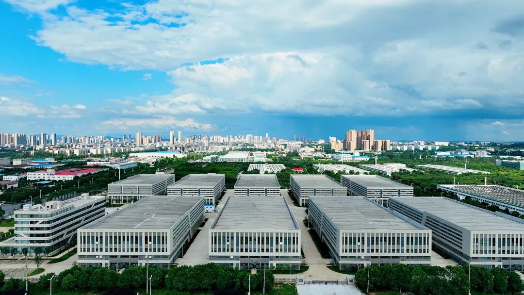 安博体育网站：“追”了四年“宠”出一个产业集群(图1)