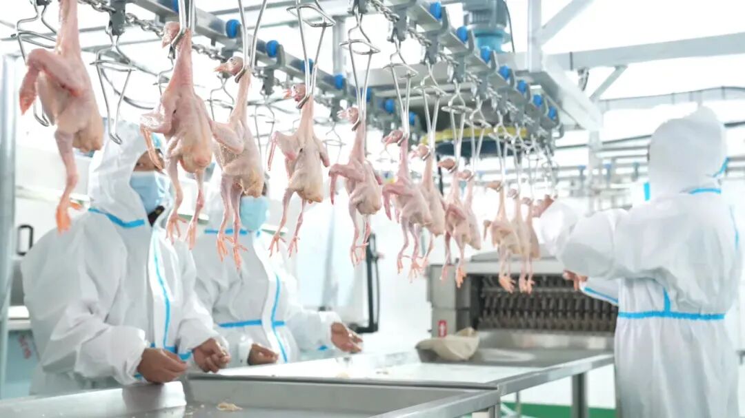 安博体育网站：“追”了四年“宠”出一个产业集群(图3)