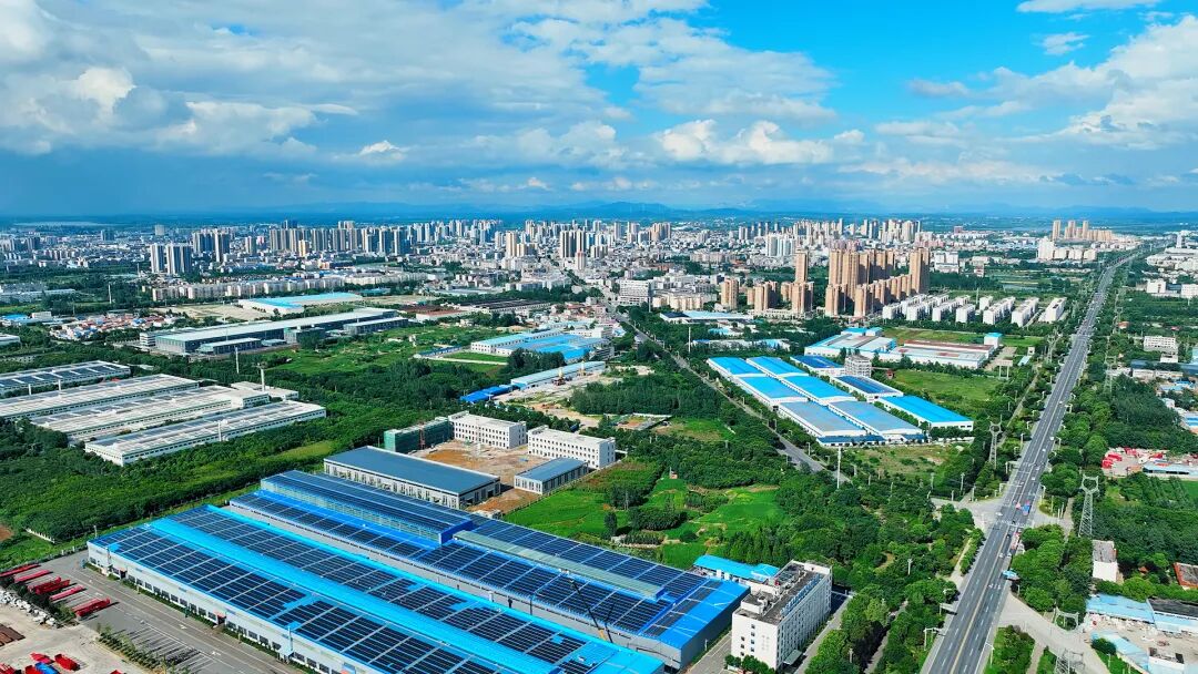 安博体育网站：“追”了四年“宠”出一个产业集群(图5)