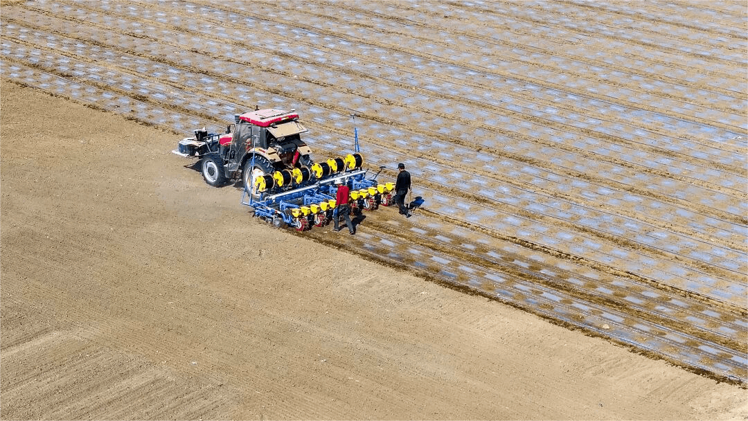 安博体育平台:高质量发展“新”速度丨科技赋能引领新疆农业的智慧跨越(图1)