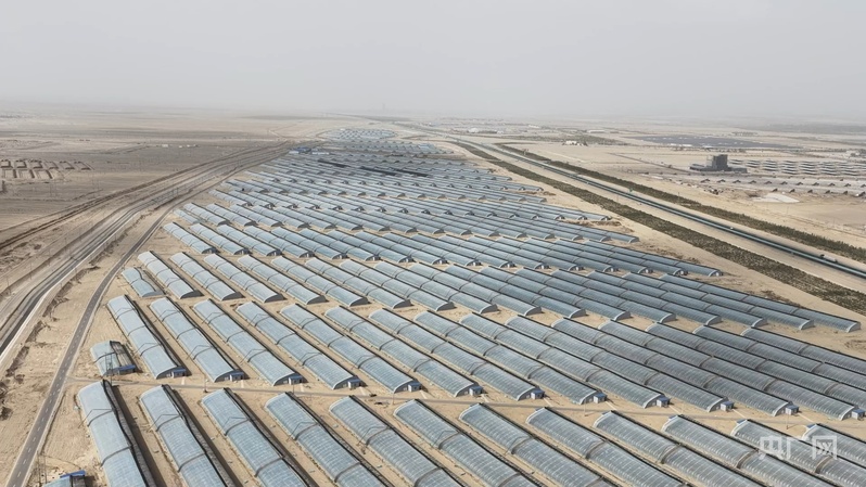 安博体育平台:高质量发展“新”速度丨科技赋能引领新疆农业的智慧跨越(图5)