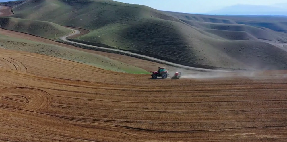 安博体育平台:高质量发展“新”速度丨科技赋能引领新疆农业的智慧跨越(图4)