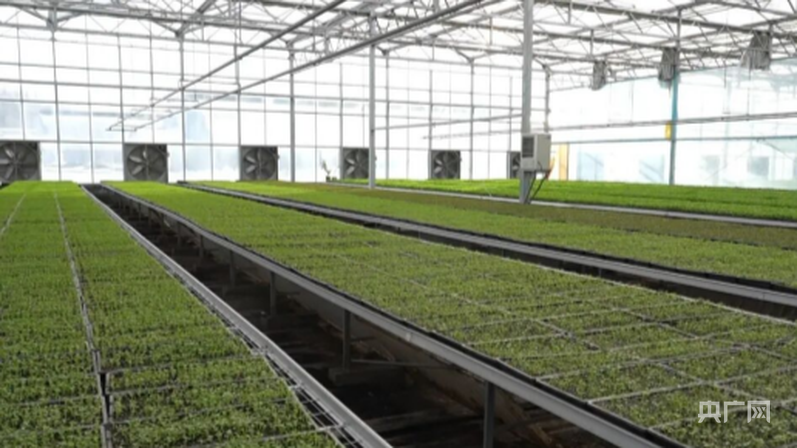 安博体育平台:高质量发展“新”速度丨科技赋能引领新疆农业的智慧跨越(图3)