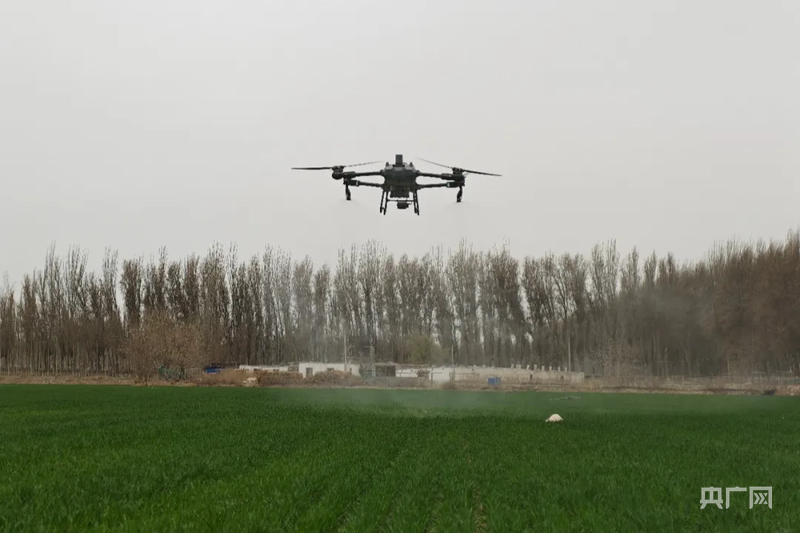 安博体育平台:高质量发展“新”速度丨科技赋能引领新疆农业的智慧跨越(图8)