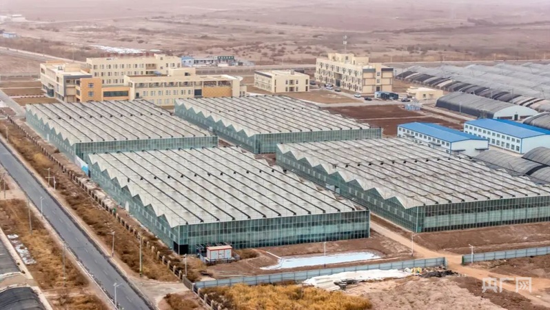 安博体育平台:高质量发展“新”速度丨科技赋能引领新疆农业的智慧跨越(图6)