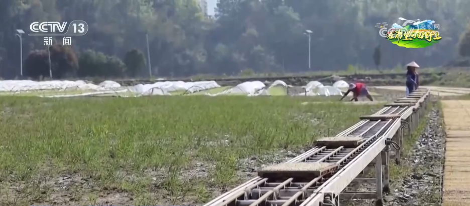 安博体育网站：数智农具不断“上新”、网络成为“新农资”智慧农业为乡村插上“科技翅膀”(图1)