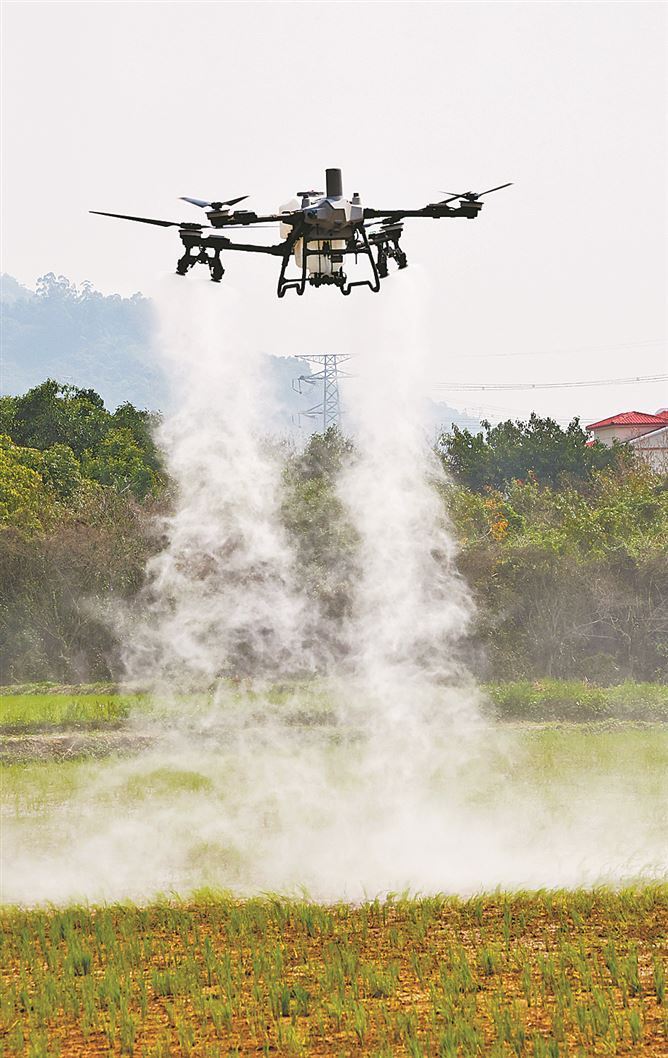 厦门集美灌口上演“科技春耕图”(图1)