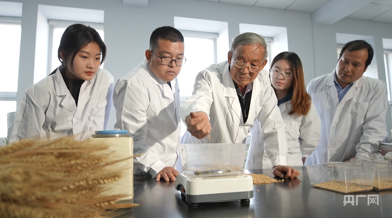 冀野“耕”新向未来新农策绘就河北乡村新画卷(图2)