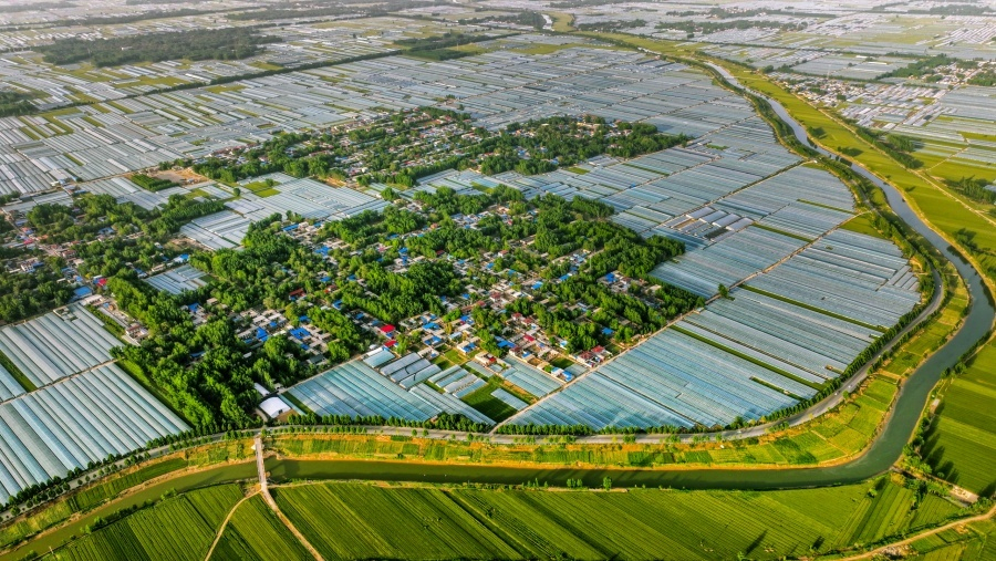 安博体育网站：从蔬菜大县到农业强县——莘县现代农业发展的质变之路(图1)