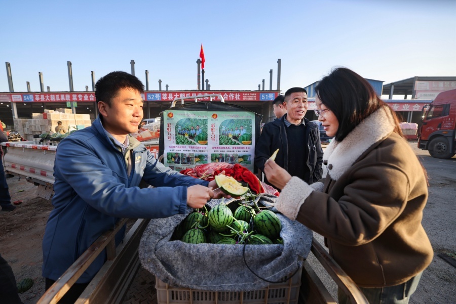 安博体育网站：从蔬菜大县到农业强县——莘县现代农业发展的质变之路(图3)